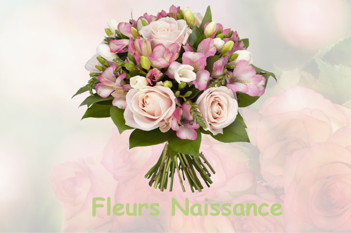 fleurs naissance MORETTE