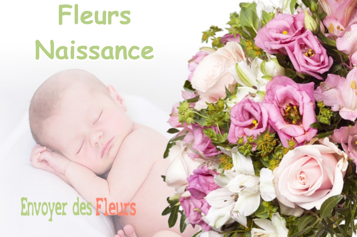 lIVRAISON FLEURS NAISSANCE à MORETTE